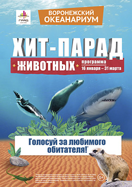 «Хит-парад животных» Воронежского океанариума