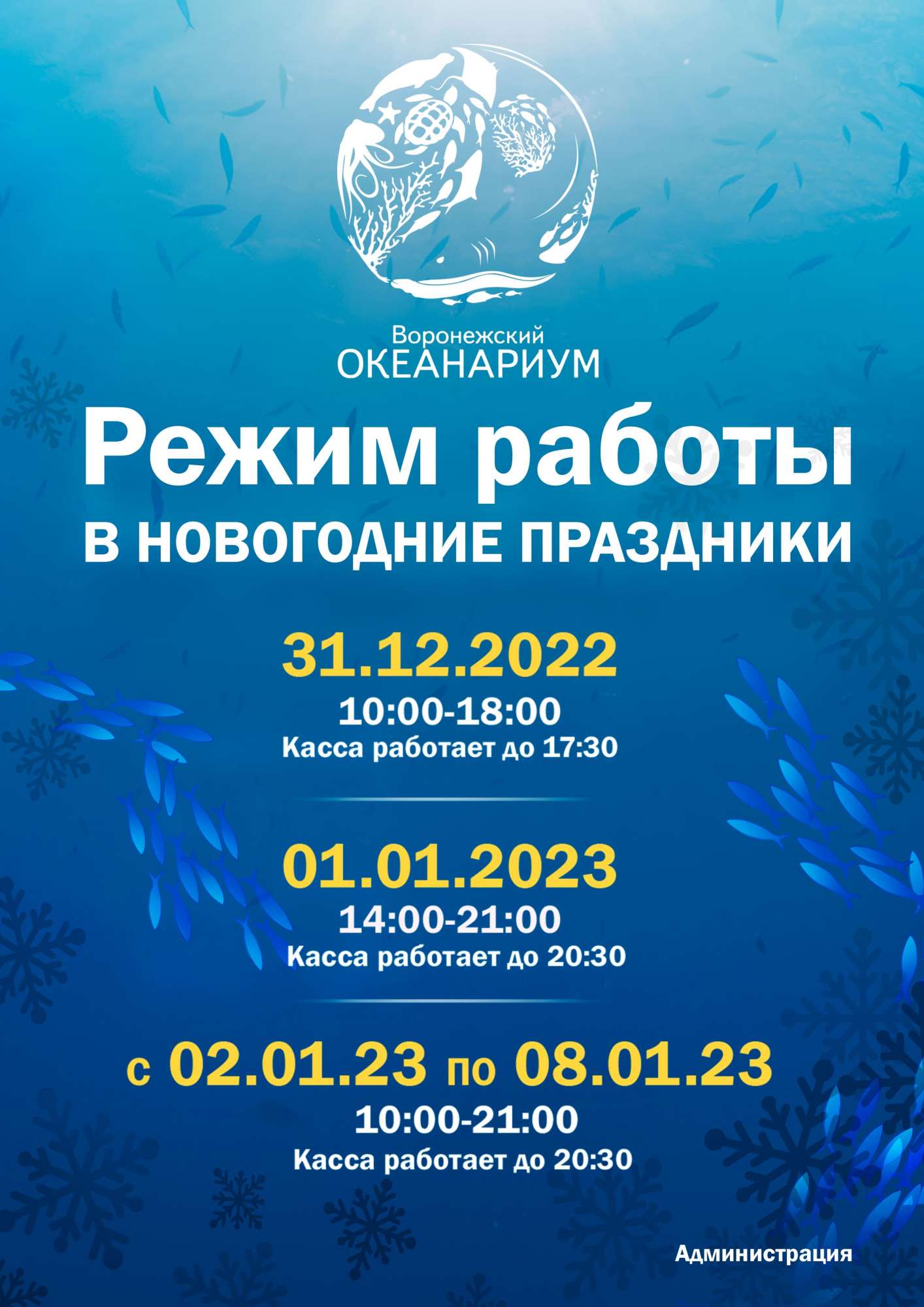 Воронеж Магазины Режим Работы