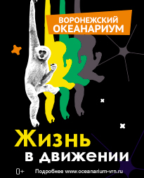 Жизнь в движении