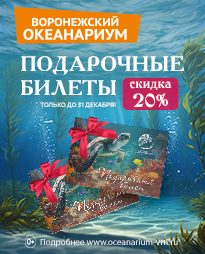 ������ 20% �� ���������� ������