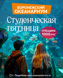 ������������ �������