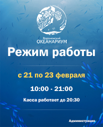 Режим работы