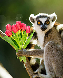 � ���������� �����!