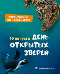 ���� �������� ������