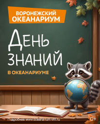 ���� ������