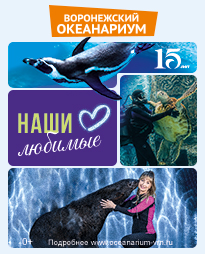 Наши любимые