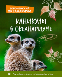 Каникулы в океанариуме