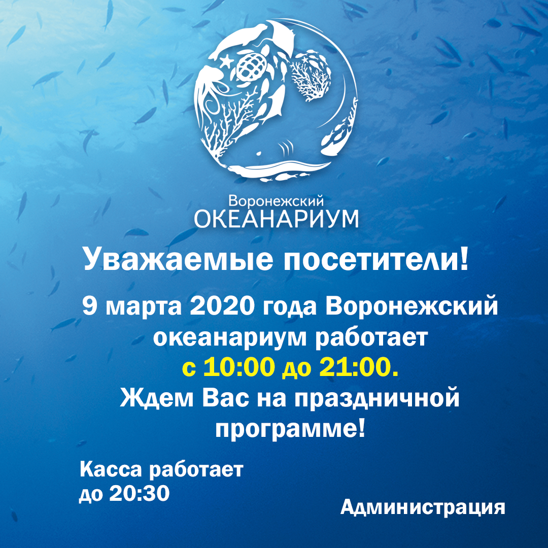 Rezhim Raboty Okeanariuma V Prazdnichnyj Ponedelnik Rezhim Raboty 9 Marta Sobytiya I Akcii Voronezhskij Okeanarium