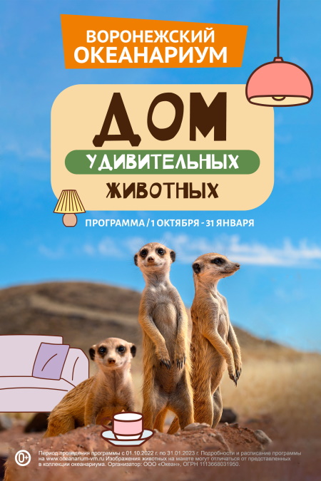 Воронежский океанариум в Сити Парк Град | Океанариум г. Воронеж ...